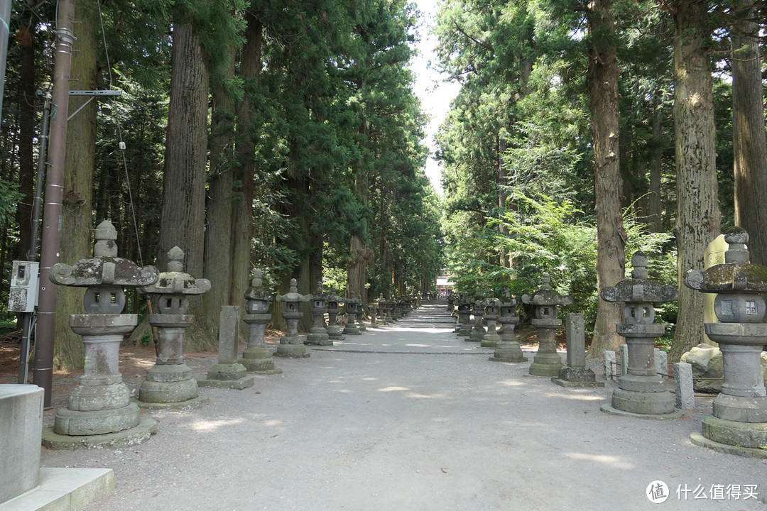 变化 （东京-富士山-高山）