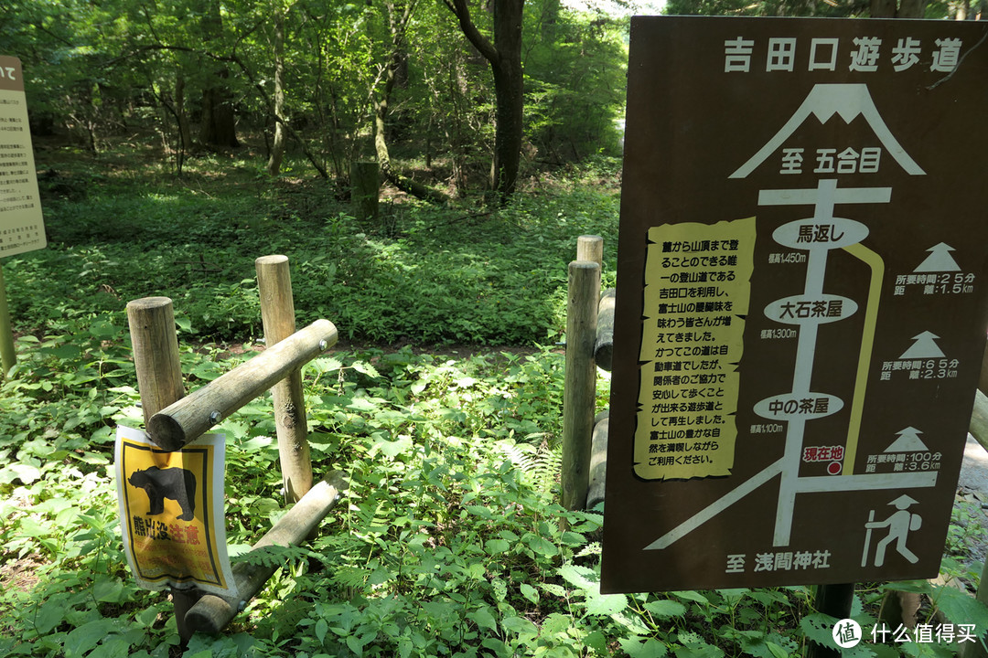 变化 （东京-富士山-高山）