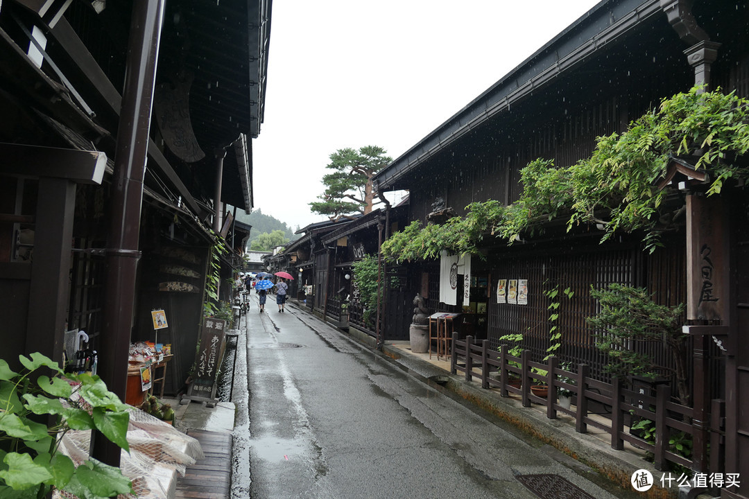 变化 （东京-富士山-高山）