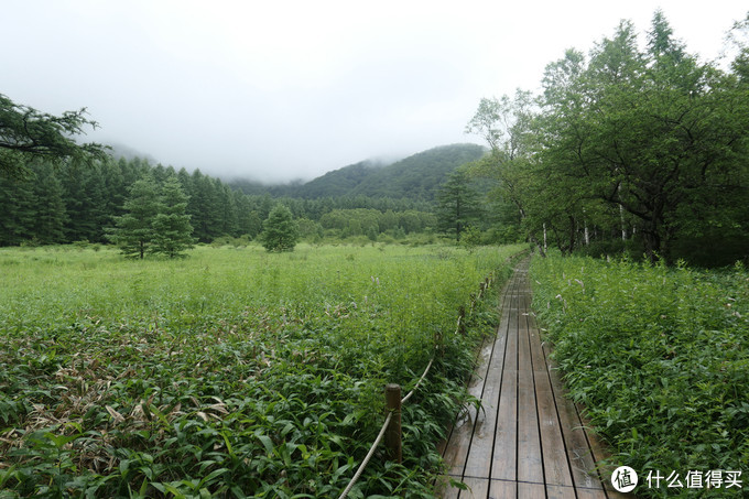 17年夏初游日本 雨雾相伴十天 富士山 高山 长野地区 日光 篇三 绿意 上高地 木曾 户隐 日光 国外自由行 什么值得买