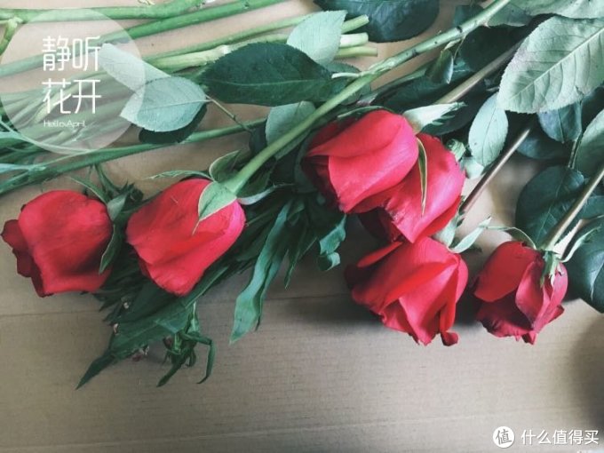 #女神节礼物# 请回答2018—女神、女神井、女神仙 礼物推荐