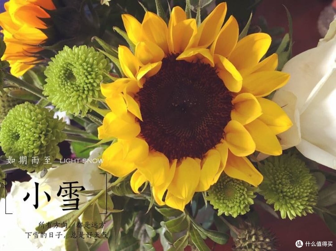 #女神节礼物# 请回答2018—女神、女神井、女神仙 礼物推荐