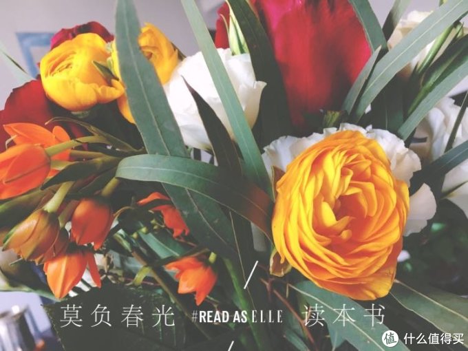 #女神节礼物# 请回答2018—女神、女神井、女神仙 礼物推荐