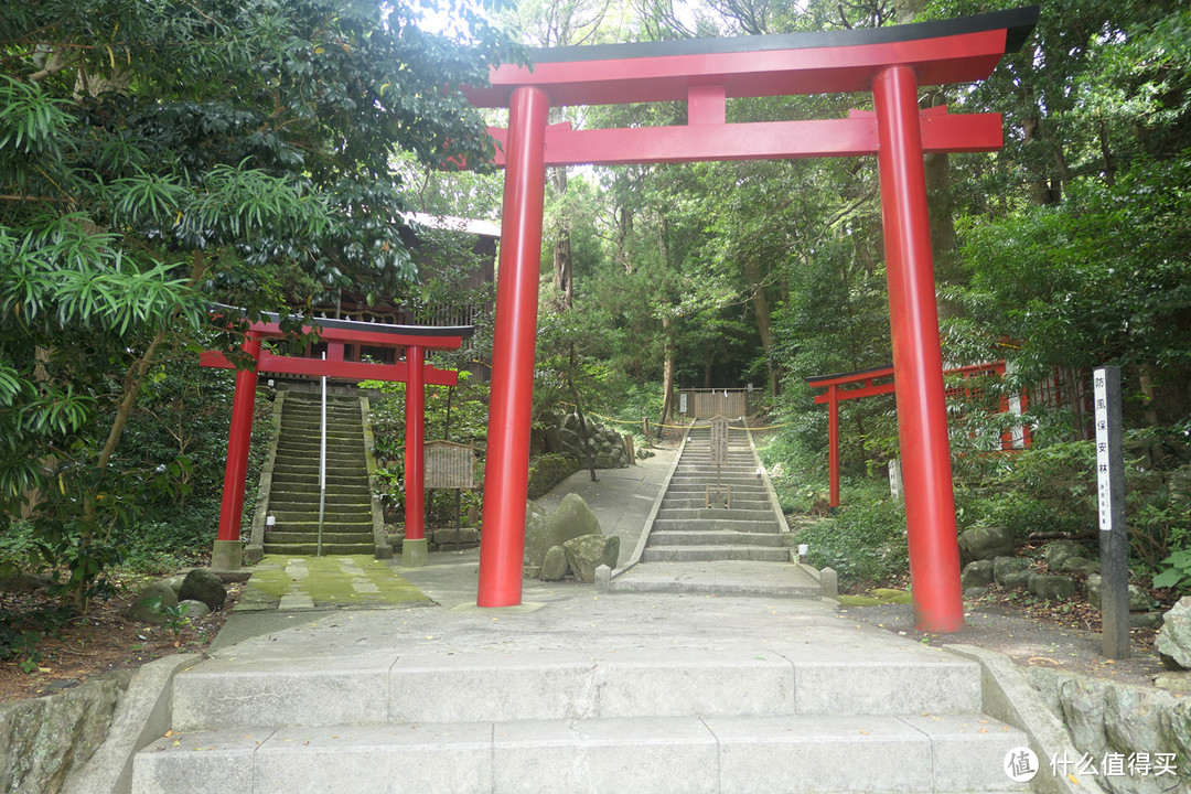 过客 （伊豆，江之岛，镰仓，川越）