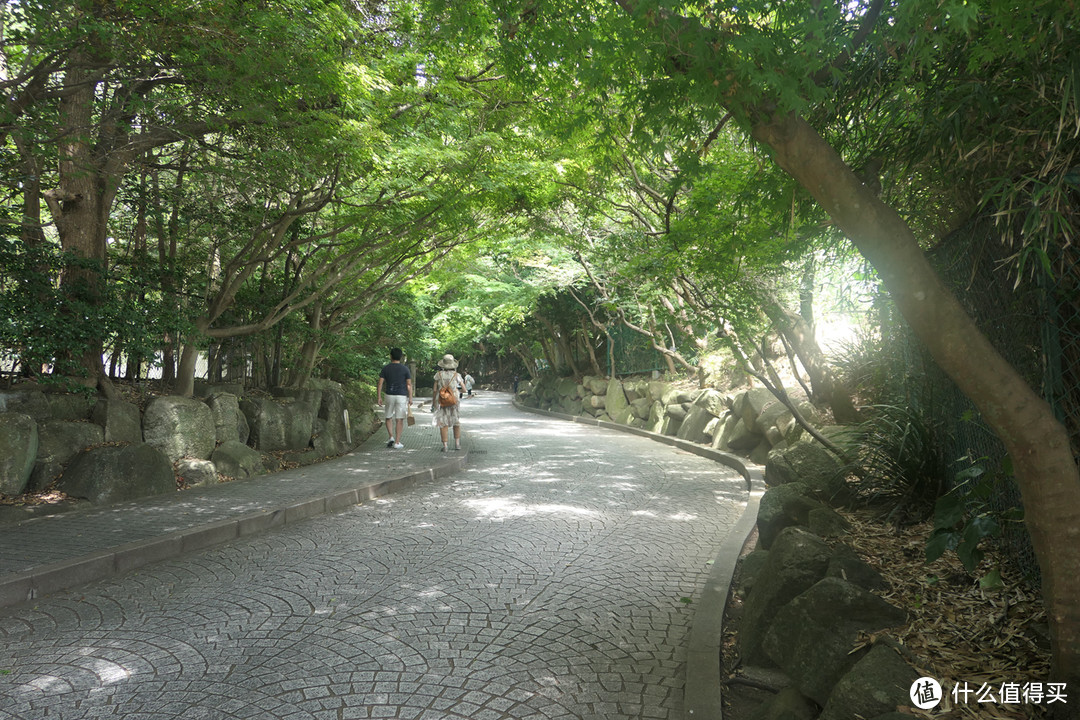 过客 （伊豆，江之岛，镰仓，川越）