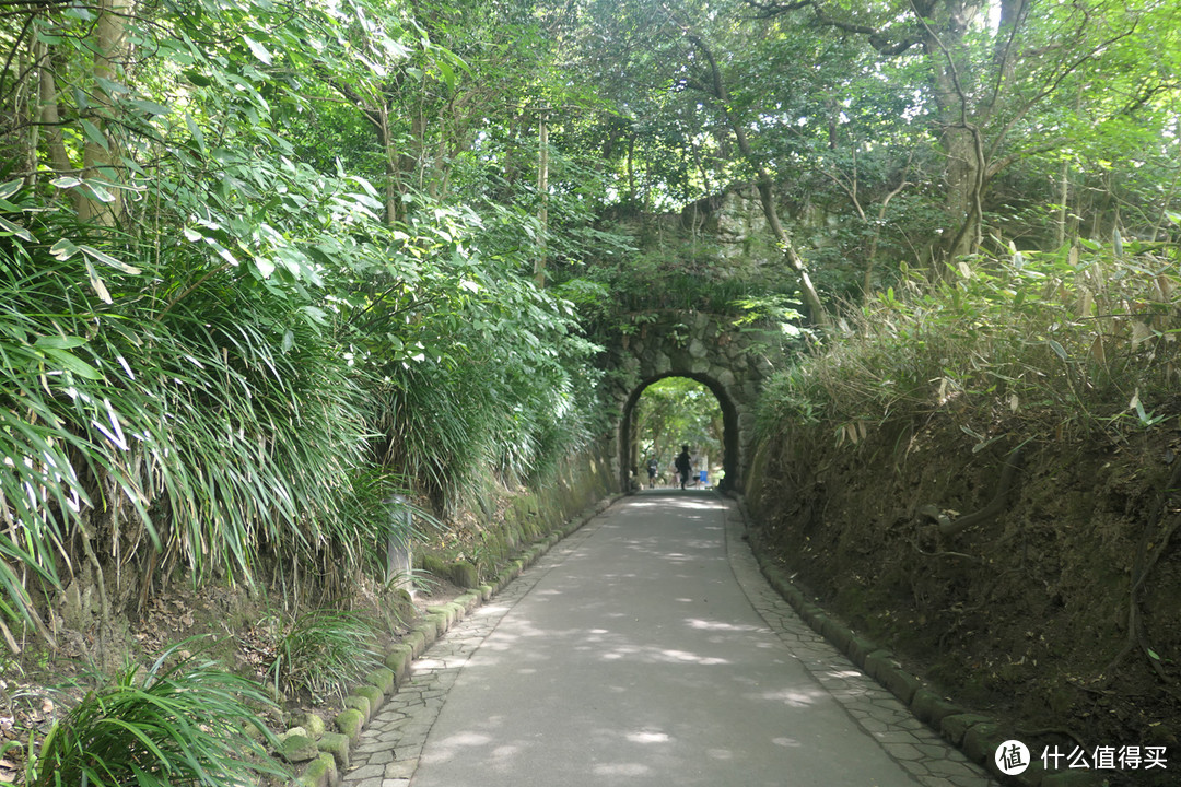 过客 （伊豆，江之岛，镰仓，川越）