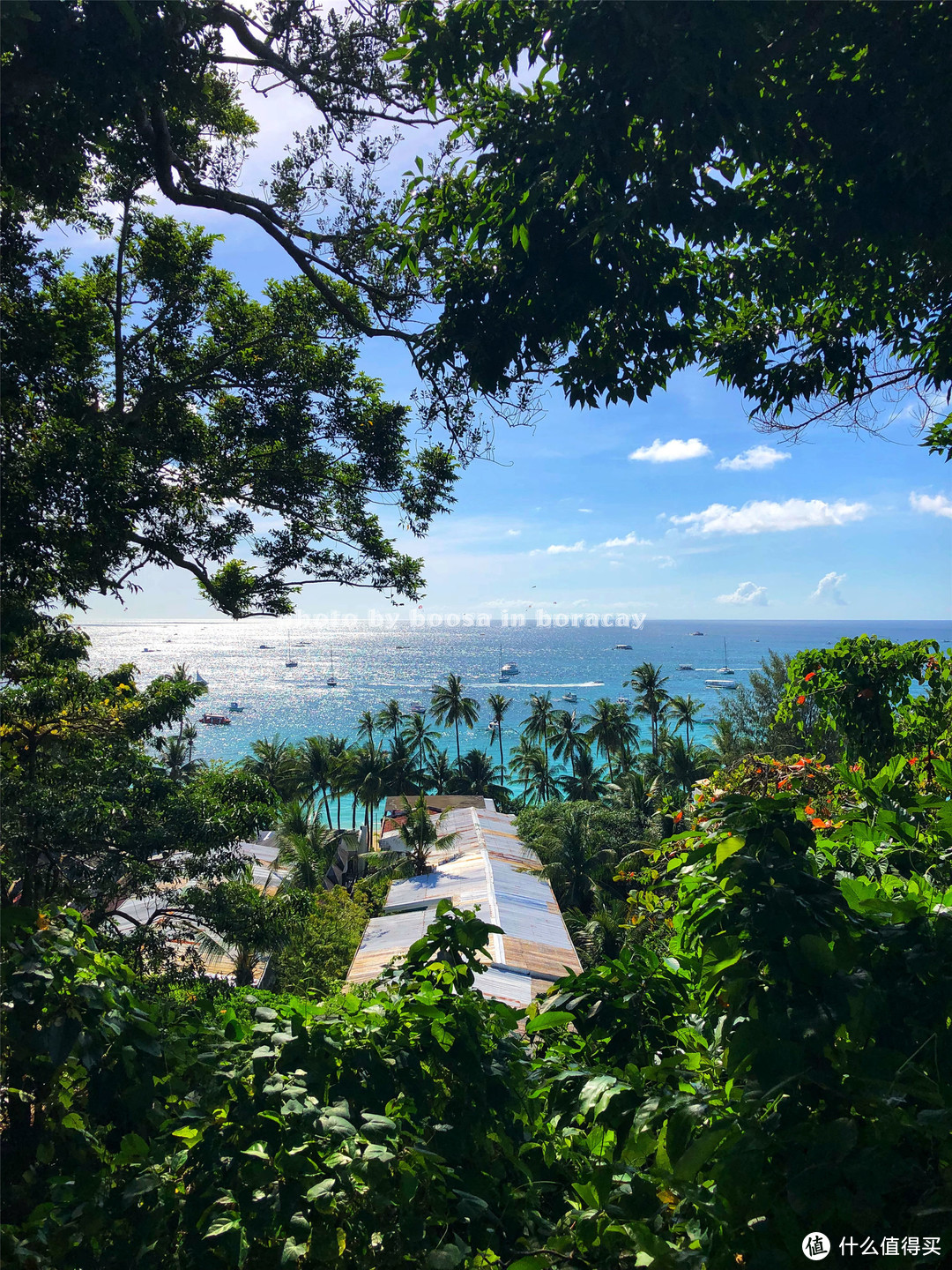 从泳池看出去的风景