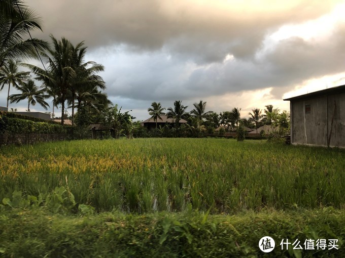 【巴厘岛游记】全球最适合拍照的酒店，拔草之旅