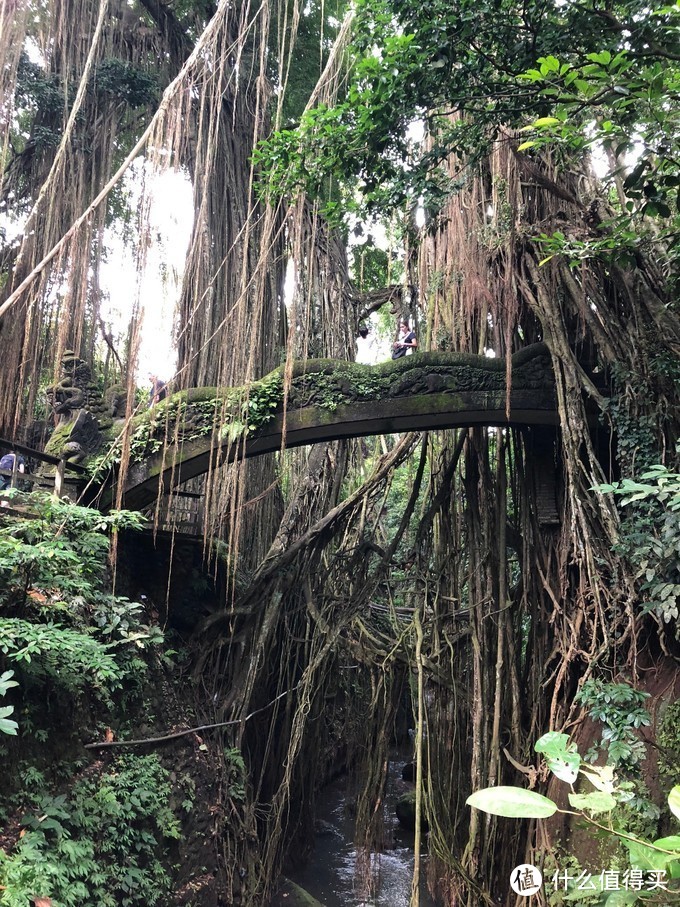 【巴厘岛游记】全球最适合拍照的酒店，拔草之旅