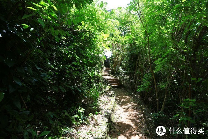 【巴厘岛游记】全球最适合拍照的酒店，拔草之旅