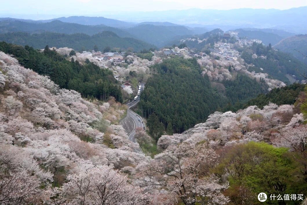 奈良吉野山