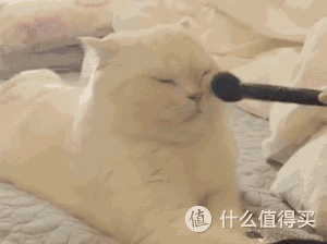 美妆评测| 眼线画不好=手残？你可能只是没选对眼线笔！