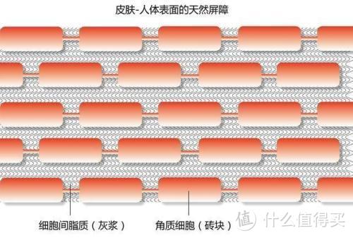 角质砖墙结构（图片引用）