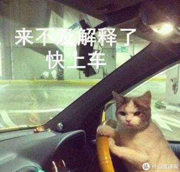 #老司机秘籍#一篇文章额外得2000金币,了解一下?