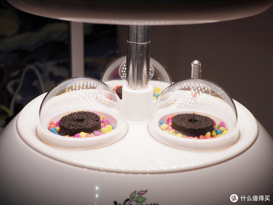 一台有爱的机器---慕奈花舍三生石智能养花机体验