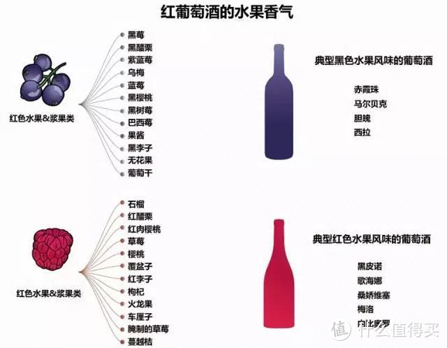 入门：如何识别葡萄酒的香气？