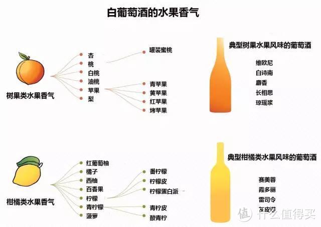 入门：如何识别葡萄酒的香气？