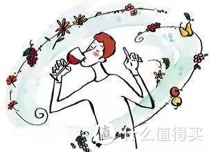 入门：如何识别葡萄酒的香气？