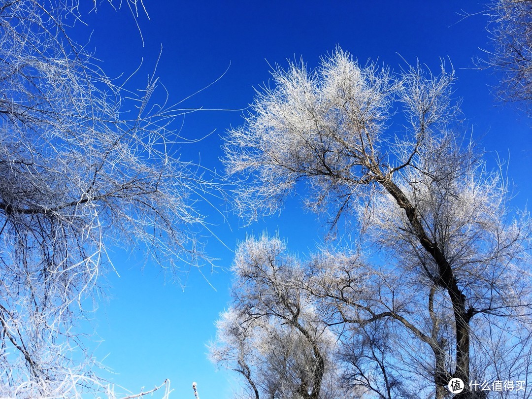 那拉提草原及班禅沟篇