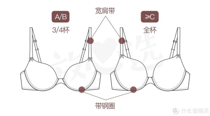 聚焦事业线：文胸都选不对，还当什么女神？