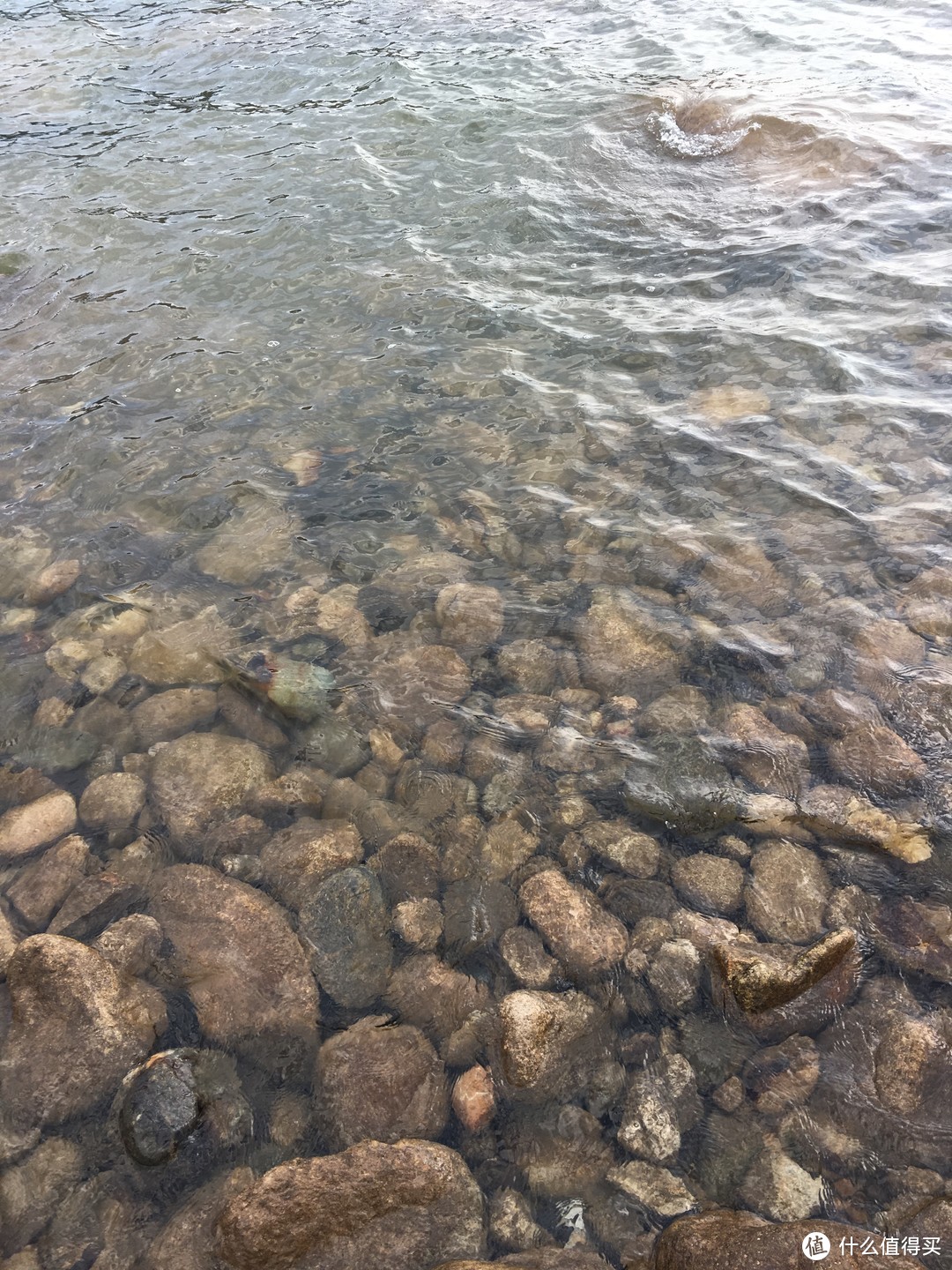 偷得浮生半日，尽览半岛春水如蓝，不吐不快的淡季千岛湖洲际二日行记