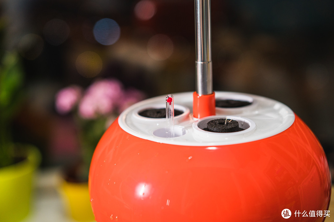 育种养花小神器：慕奈花舍 为懒人设计的智能养花机
