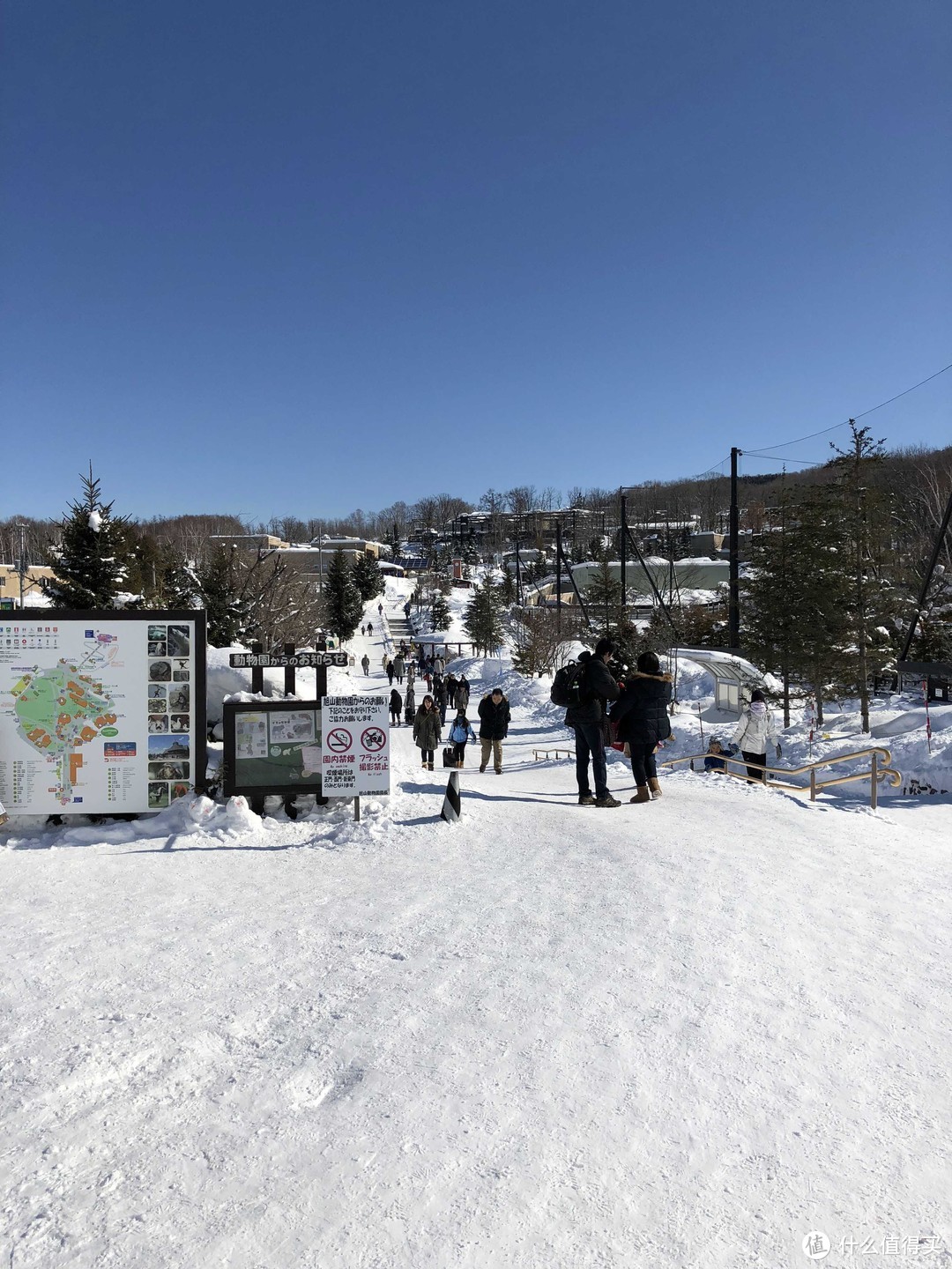 春节旅行：北海道10日自由行