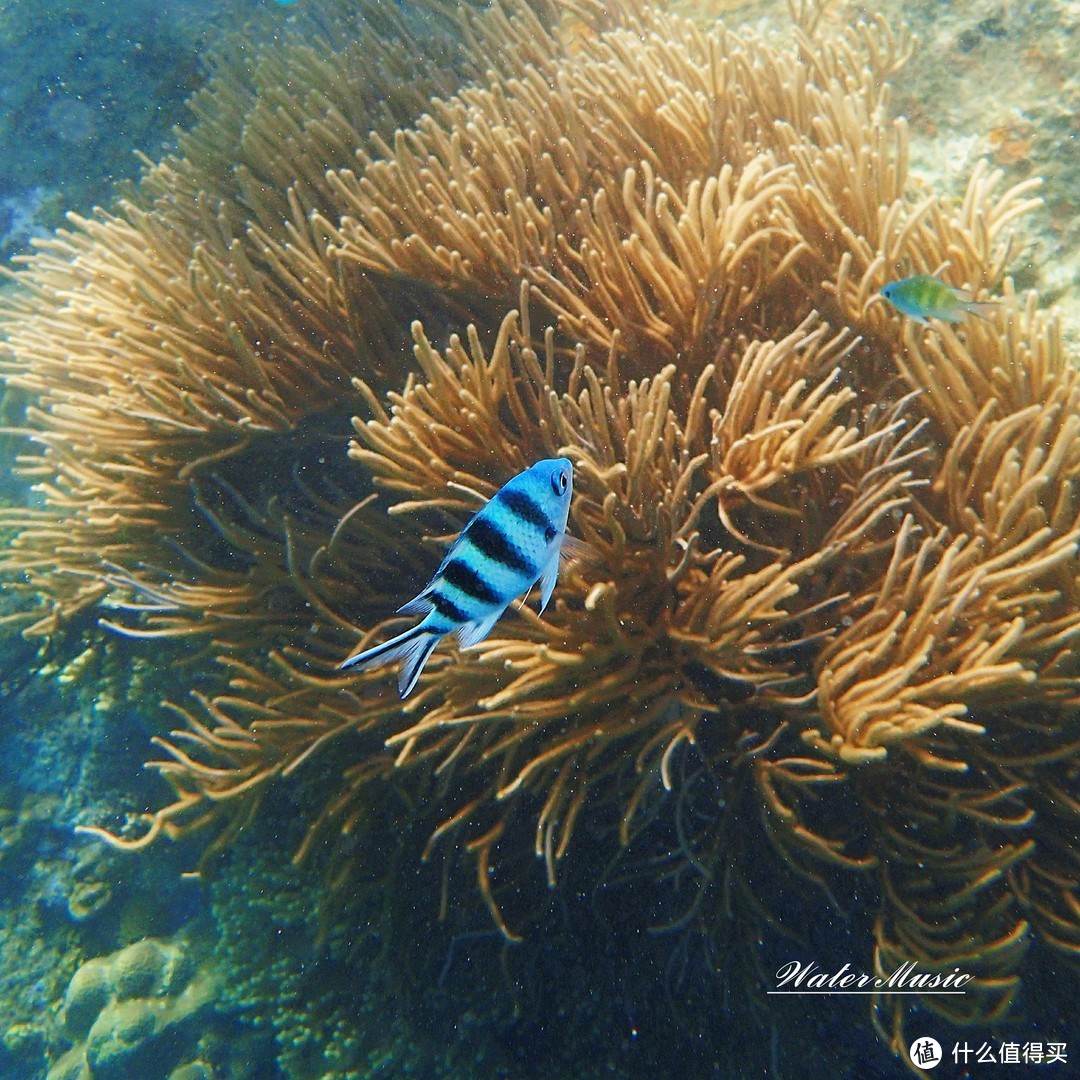 一个人的旅行—菲律宾巴拉望14天全纪录（二）—科隆岛（附马尼拉半日游）