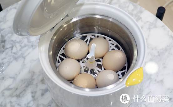点满煮蛋技能树—CHANGHONG 长虹 67度温泉蛋煮蛋机