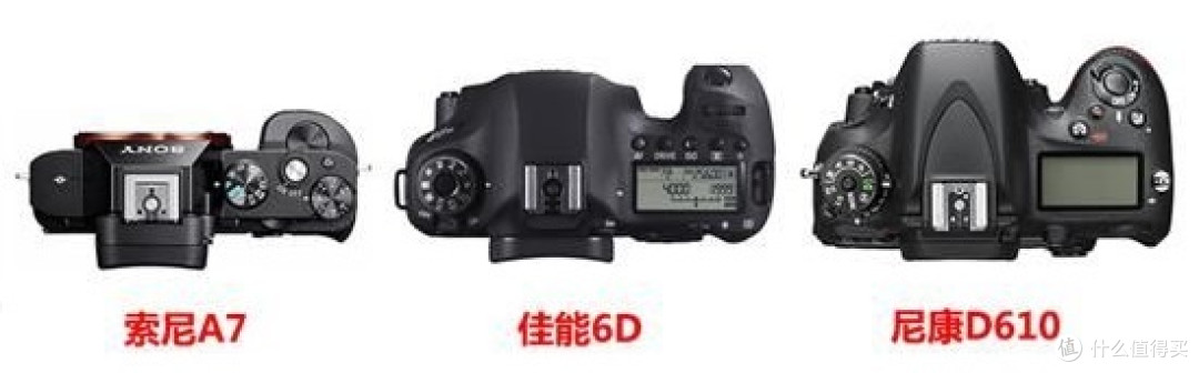 Sony 索尼 A7系列微单怎么选？各子型号数据对比与取舍