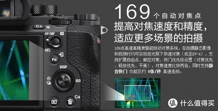 Sony 索尼 A7系列微单怎么选？各子型号数据对比与取舍