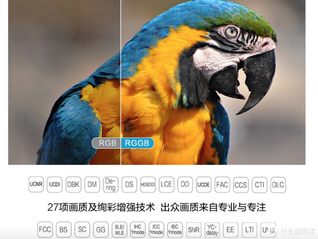 你所想了解的XGIMI 极米 Z6 无屏电视以及与灯泡机投影仪爱普生TW650画质大PK