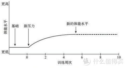 图2-2 身体应对新压力的示意图