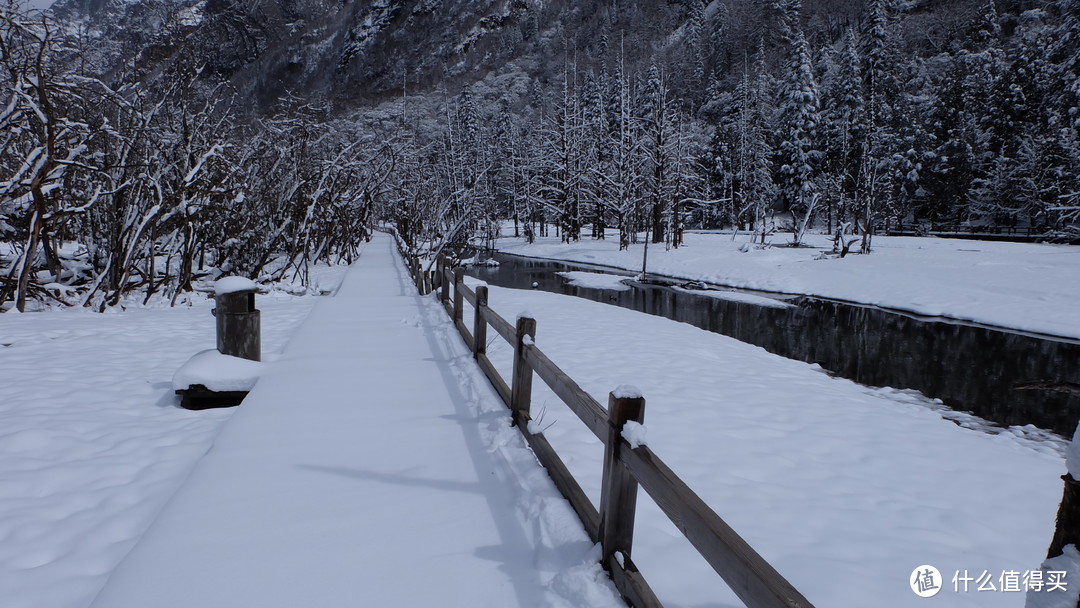 从天府去看四姑娘—成都，四姑娘山六日旅记