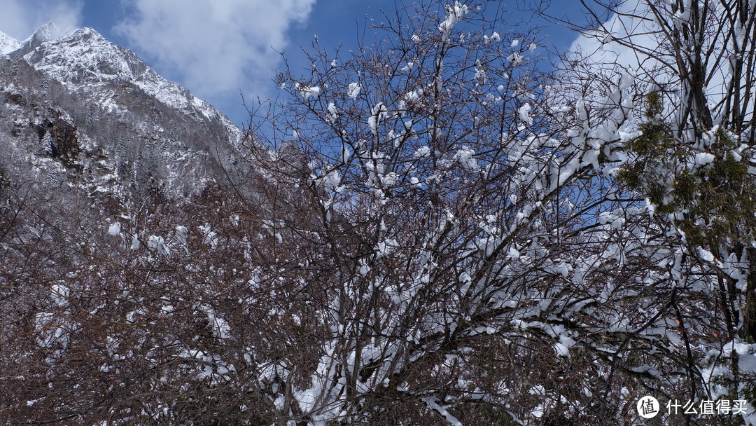 从天府去看四姑娘—成都，四姑娘山六日旅记