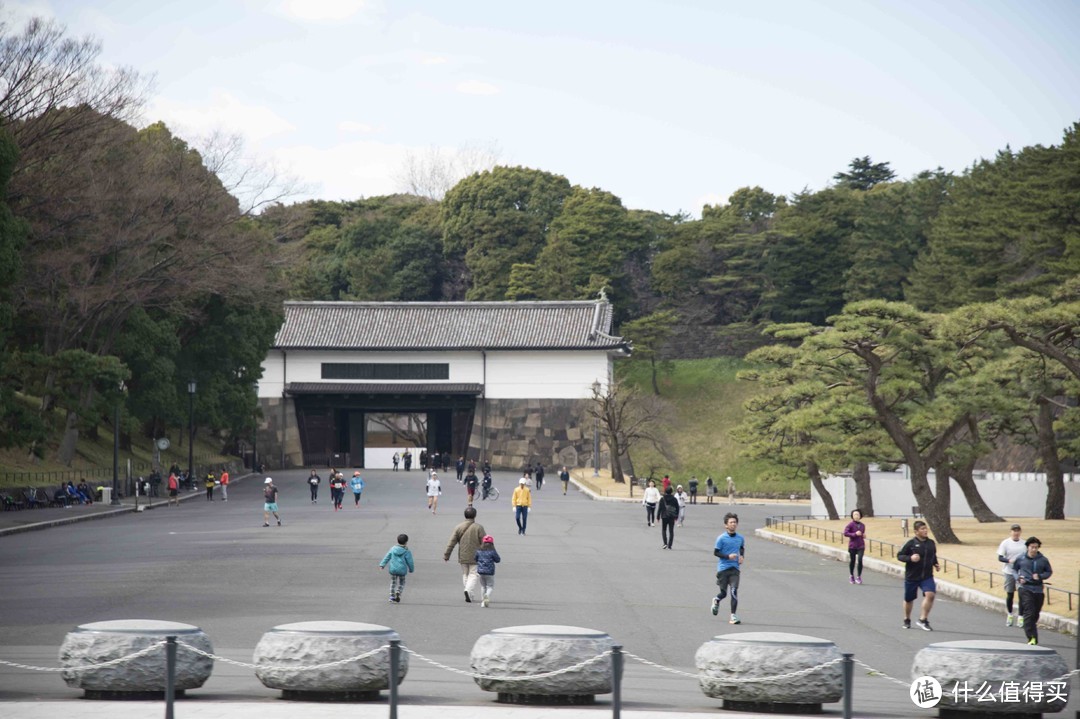 走马观花日本行，跟团六日也能玩转本州