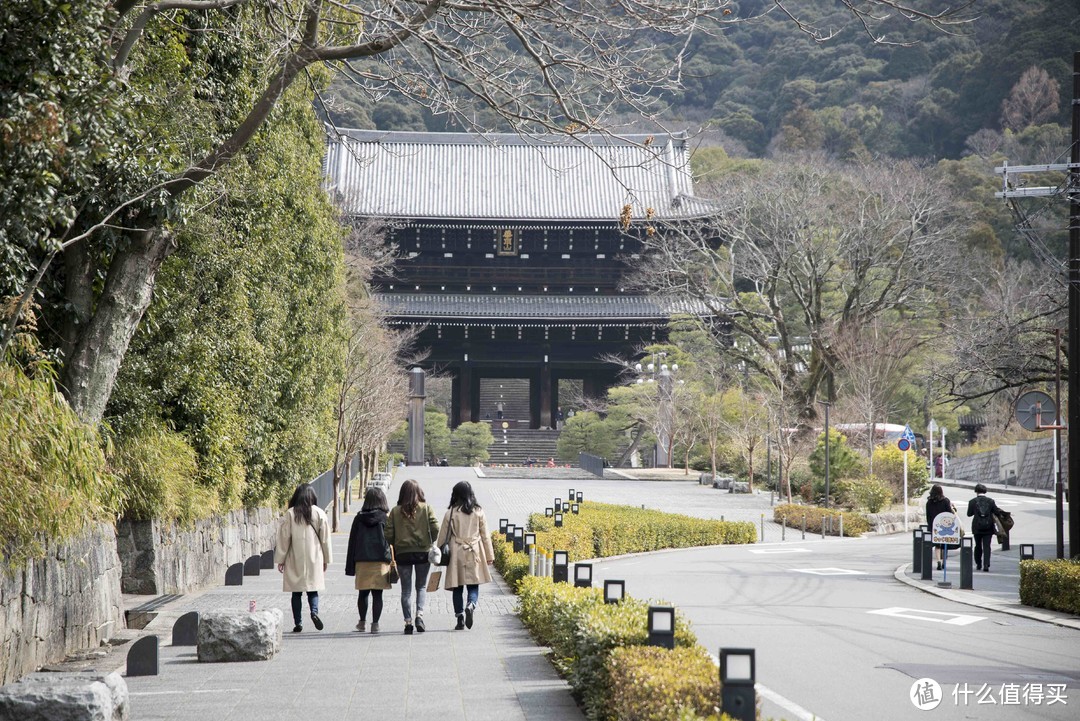 走马观花日本行，跟团六日也能玩转本州