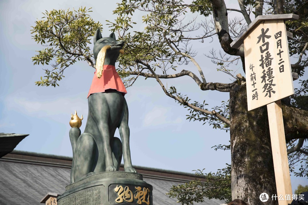 走马观花日本行，跟团六日也能玩转本州