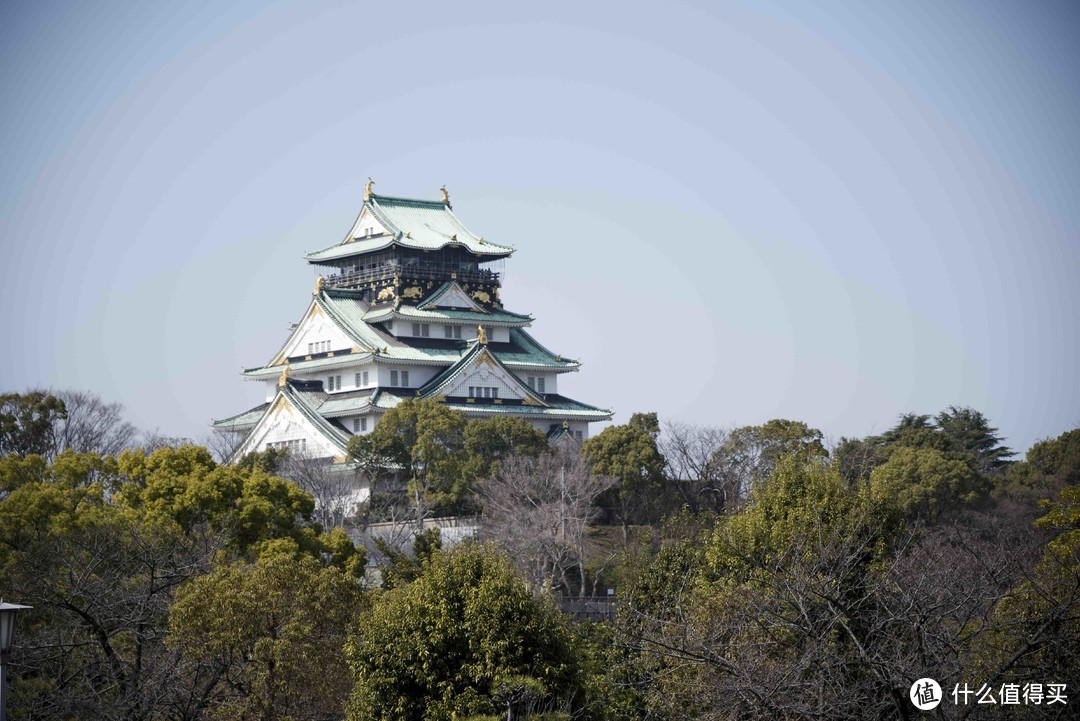 走马观花日本行，跟团六日也能玩转本州