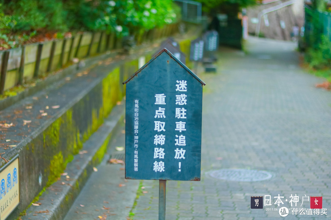 在神户温泉微醺，在大阪居酒屋迷失，在京都一步千年：日本游记