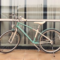 Liv Classic女士自行车外观介绍(车把|坐垫)