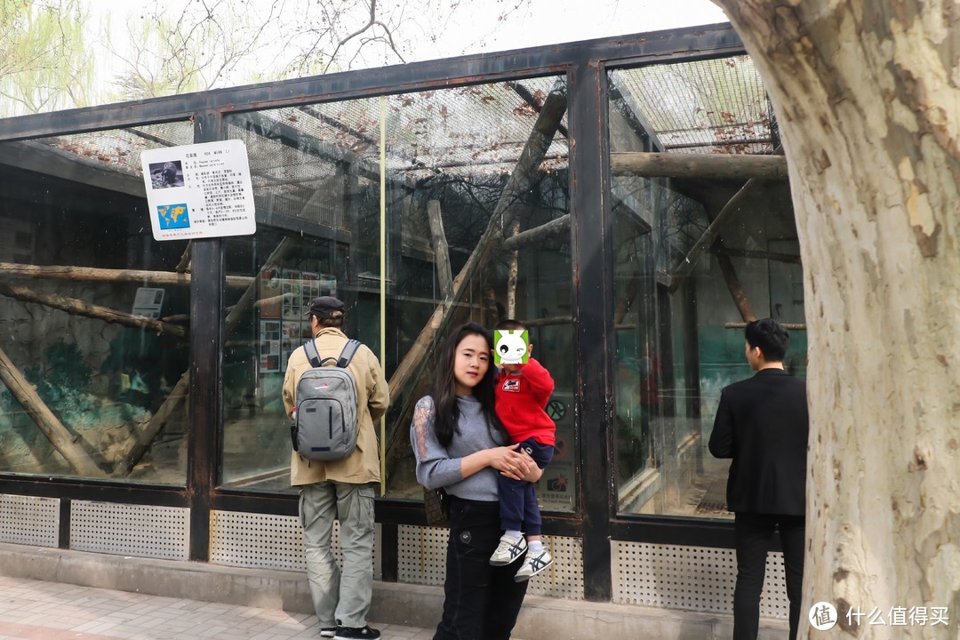 故地重游：2018年 北京动物园 半日游记