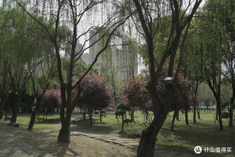 #剁主计划-沈阳#单反相机(含全画幅)视频画质