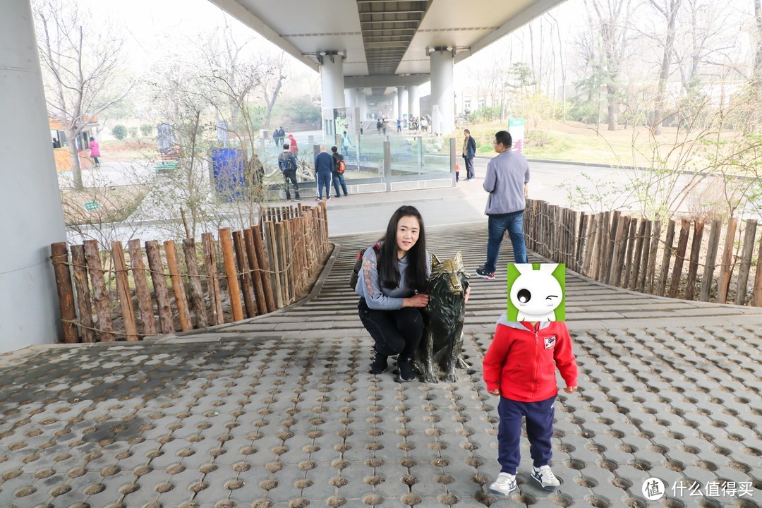 故地重游：2018年 北京动物园 半日游记