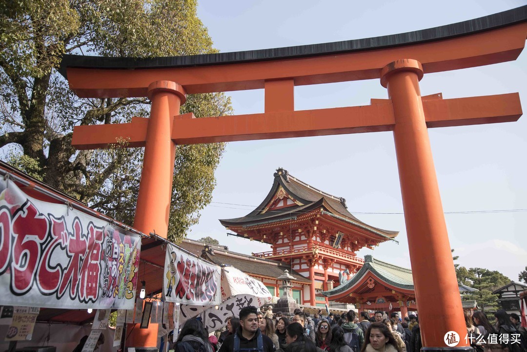 走马观花日本行，跟团六日也能玩转本州