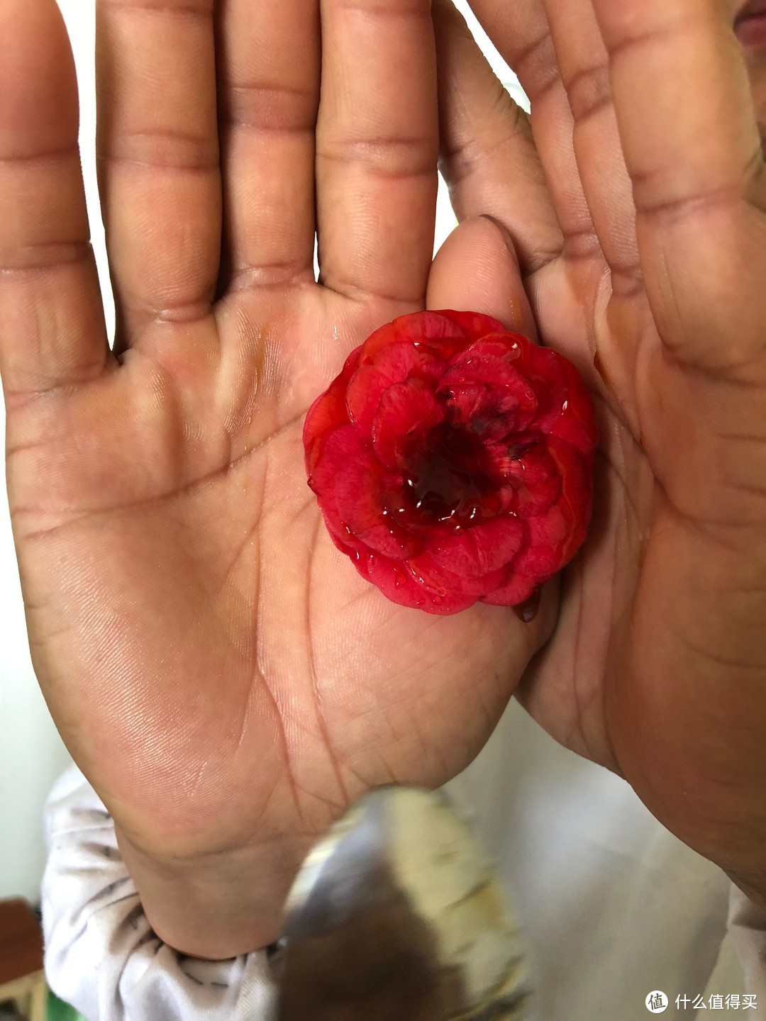 将涂抹了蚝油的红花朵夹在两个手掌中央，模拟如厕后的肛门。