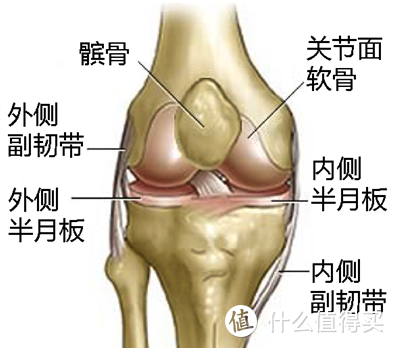 #原创新人#稳固膝盖，拒绝膝伤：McDavid 迈克达威 E3 四向绑带护膝 使用评测