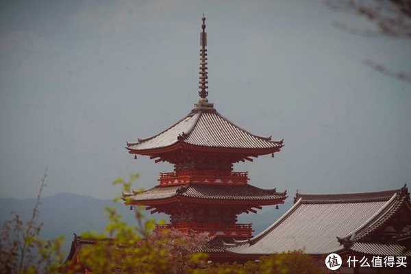 春游关西(京都,奈良,大阪樱花季)