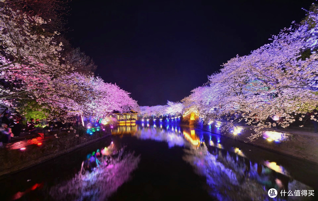 2018惠山的雪与鼋头渚的樱花