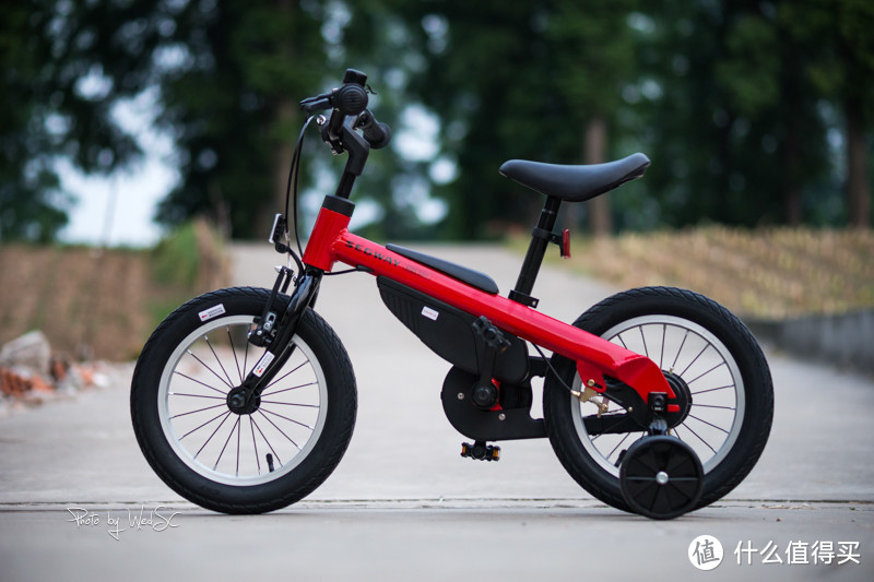 #剁主计划-无锡#给女儿的礼物，写在有纪念意义的一天：Segway 赛格威 Kids Bike 14寸童车